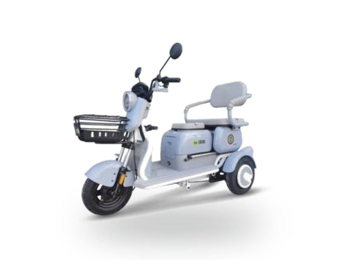 A31 Electric Cargo Tricycle — single 350W trim (cargo tricycle)
