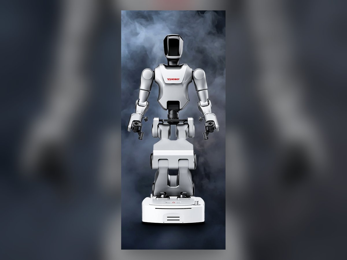 Full-size Biped Humanoid — Taihu T230C