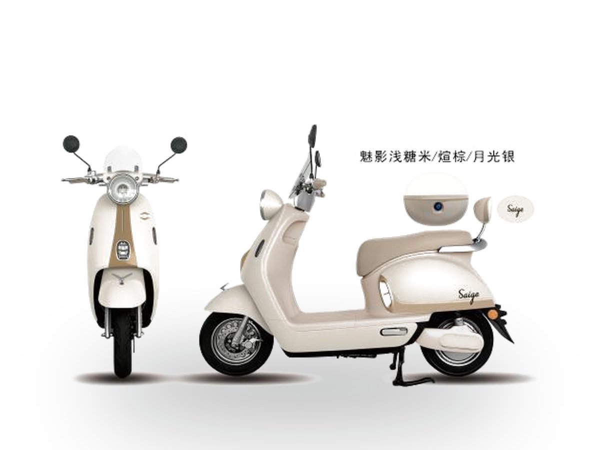 A6 Electric Moped/Scooter — 800W (Standard) / 1000W (Power)