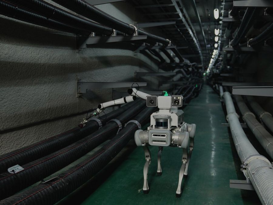 Robotic platform during field testing