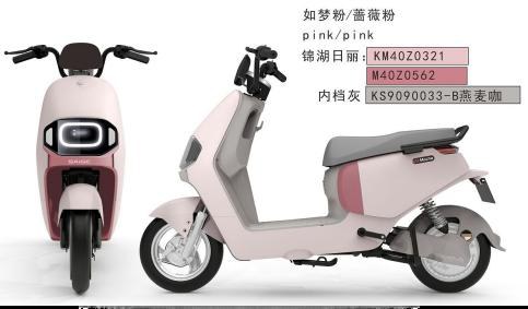 A2 Electric Moped/Scooter — 350W / 500W / 800W (three trims)