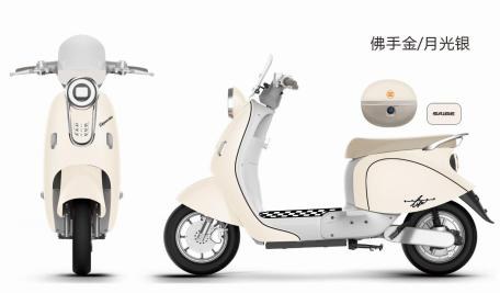 A3 Electric Moped/Scooter — 600W (Standard) / 800W (Power) / 1000W (Mountain)