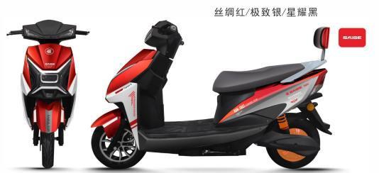 A9 Electric Moped/Scooter — single 1000W trim